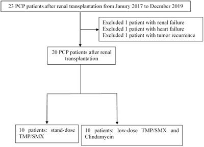 Preliminary Study on the Combination Effect of Clindamycin and Low Dose Trimethoprim-Sulfamethoxazole on Severe Pneumocystis Pneumonia After Renal Transplantation